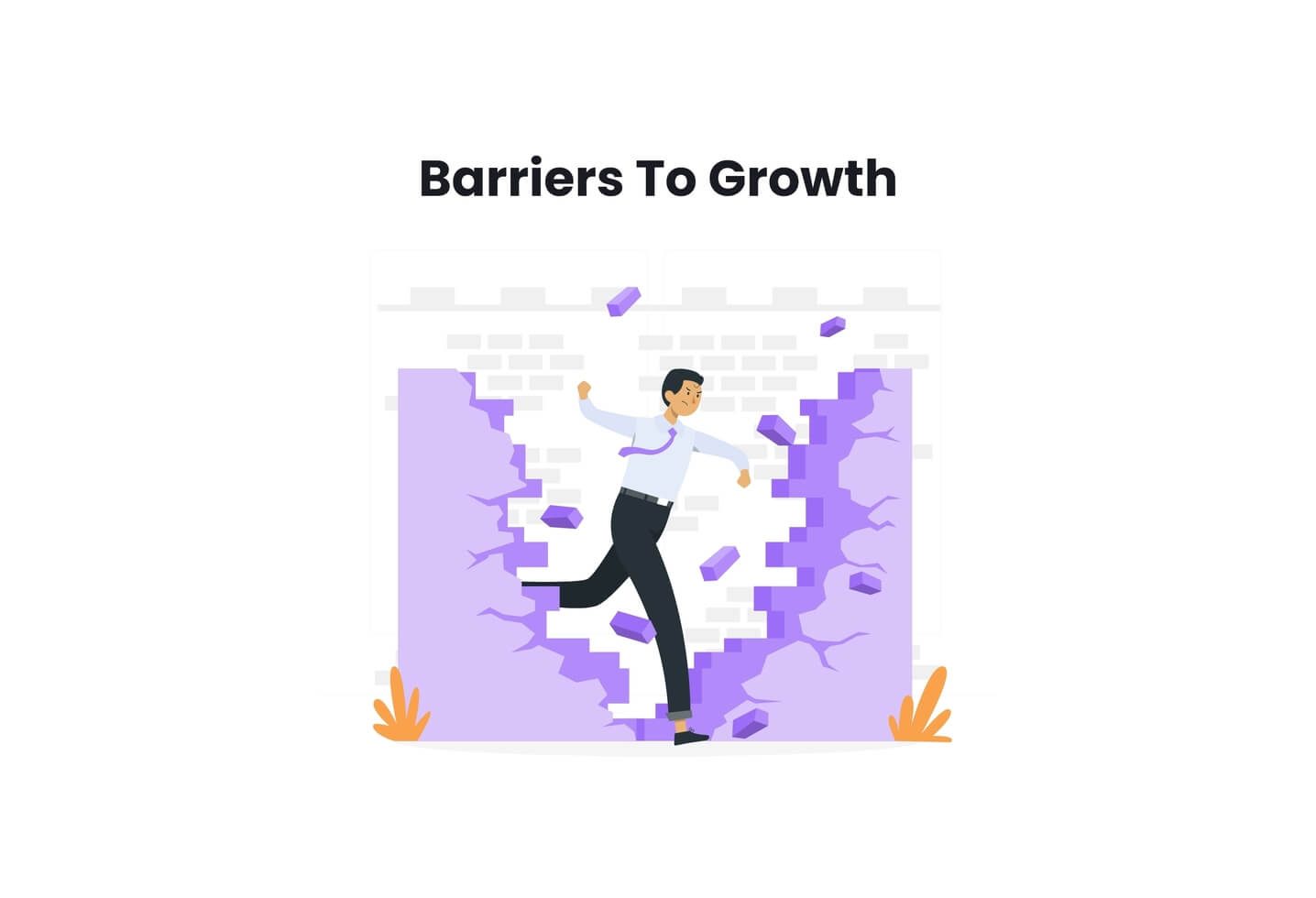 Barriers to Business Growth 